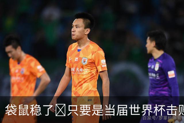 袋鼠稳了😂只要是当届世界杯击败土耳其的球队，均能最后夺冠